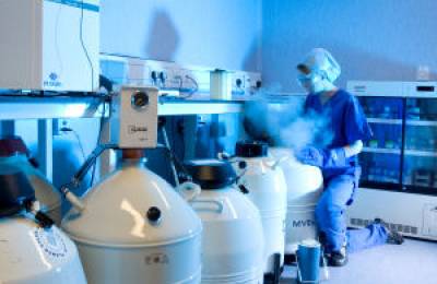 Cryopreserved embryos may mean healthier babies – new study 
